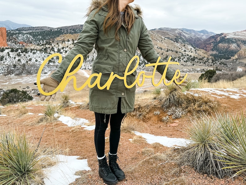 Pu&ograve; includere: Una persona tiene in mano un grande cartello in legno color oro con il nome "Charlotte" scritto in corsivo. Il cartello &egrave; tenuto davanti a uno sfondo panoramico di colline e montagne innevate.