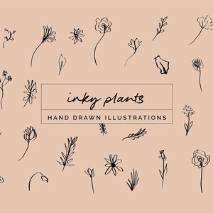 Colección de ilustraciones de plantas con tinta: Elementos botánicos dibujados a mano (PDF)
