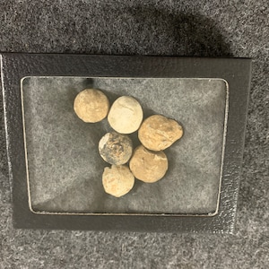 May include: A collection of seven small, round, weathered stones in a black display case. The stones vary in color from light tan to dark gray, with visible textures and imperfections. The case has a clear window, and the background is a gray fabric.