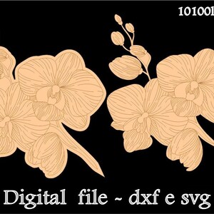 Orchid Digital File Design ,festa della mamma,vector cut file,K40,flower wood,mother day,Fiori SVG-DXF-File,cnc, plant drawing
