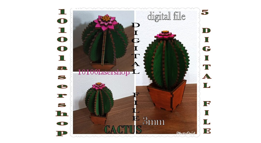 5 Cactus Files, Digital File ,k40, Laser Cut Model File Svg-ai-dxf,pdf ...