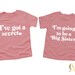 big sister shirt, big sister t-shirt, big sis, I've got a secret t-shirt, big sister tee shirt, big sister tshirt, baby announcement 