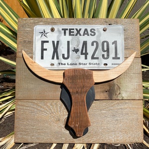 Texas Wanddeko, Texas Kunst, Texas Longhorn, Texas Nummernschild
