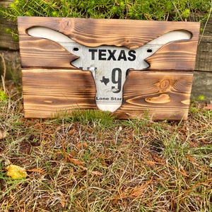 Texas longhorn wall art, License plate artwork