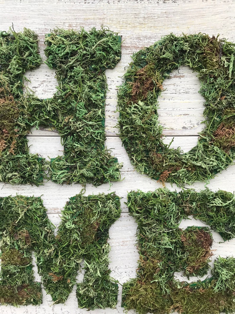 Moss Word Decor Moss Letter Art Home Word Decor Moss Etsy