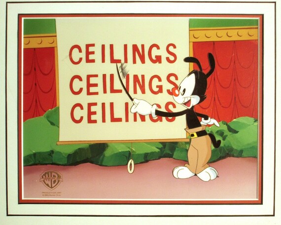 Warner Bros Animation S Animaniacs Original Production Cel