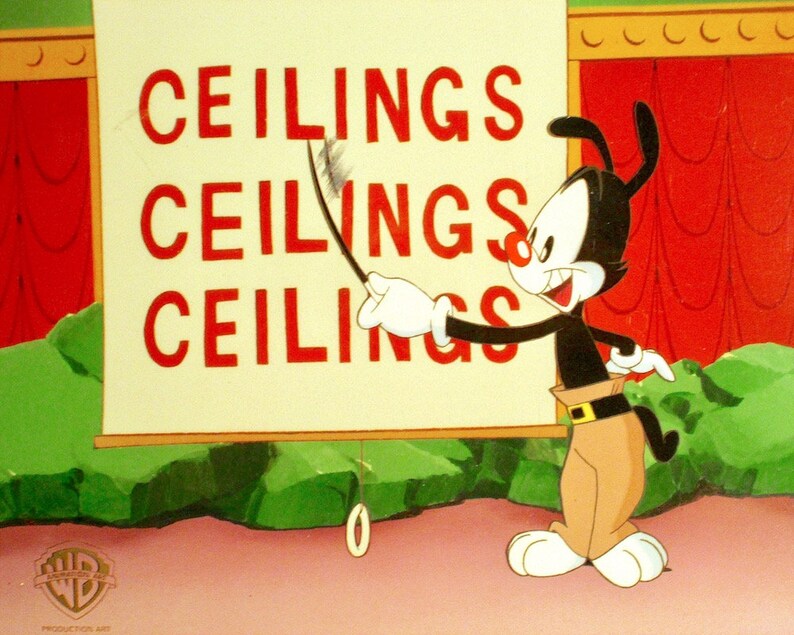 Warner Bros Animation S Animaniacs Original Production Cel