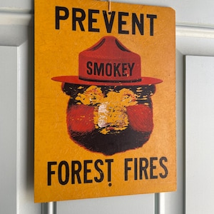 Original 1960s Smokey the Bear Forest Fire Fiberglass Sign Rare