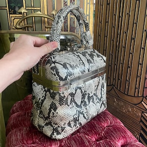 Könnte beinhalten: Eine Vintage-Handtasche mit Schlangenmuster in Schwarz, Weiß und Grau. Die rechteckige Tasche hat einen silberfarbenen Metallrahmen und einen passenden Griff. Die Tasche liegt auf einem roten Samtkissen.