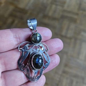 glckskastanie braune bltter Glckskastanie (Pachira aquatica) kaufen