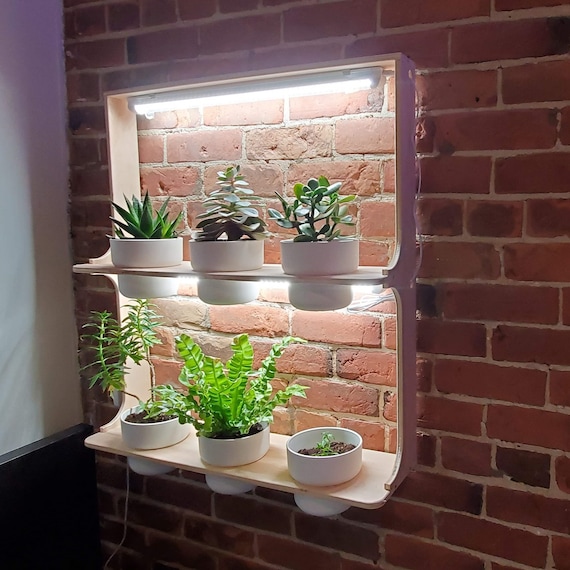 Scaffale per piante da appendere, montaggio a parete con luci progressive,  appendiabiti per piante da appartamento e piante grasse, ripiani in legno per  piante, montaggio facile -  Italia