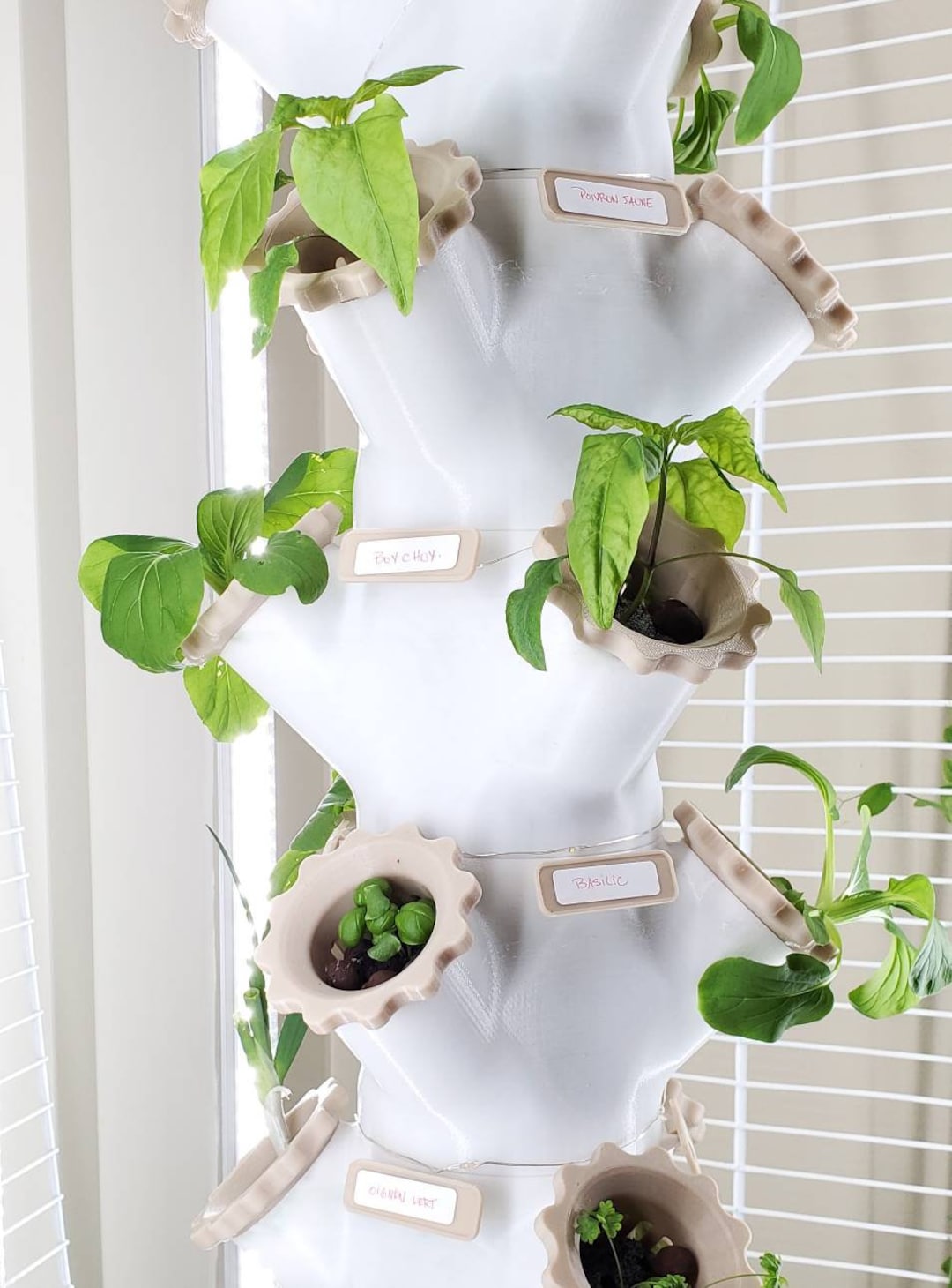Mini Jardin Vertical con plantas de interior - Komorebi