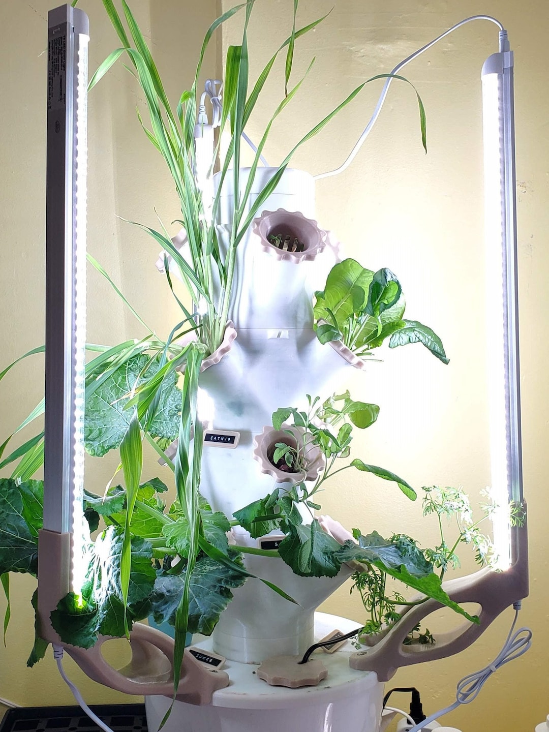 12 Plants Hydroponic Vertical Garden + Grow Lights + Pump, 3D Printed  Planter DIY Kit Vase for Herbs and Vegetables Easy Minimalist Assembly -  Etsy