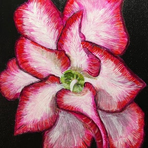 Pink Flower Acrylic Painting on Canvas (12x16)