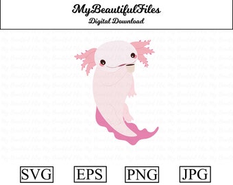 Cute Axolotl Clipart Etsy Cute Axolotl Clipart Etsy