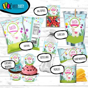 Llama Fiesta Party Pack, Boys Llama Cactus Alpaca Birthday Decoration Party Kit, DIY Digital PDF Files Printable Package, Personalized
