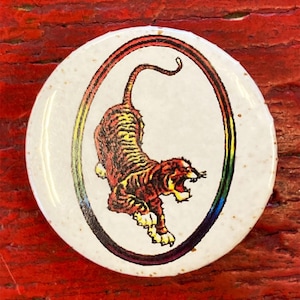 Peut inclure: Un bouton blanc avec une bordure ovale arc-en-ciel colorée et une illustration de tigre à l'intérieur. Le tigre est orange et noir sur un fond blanc.