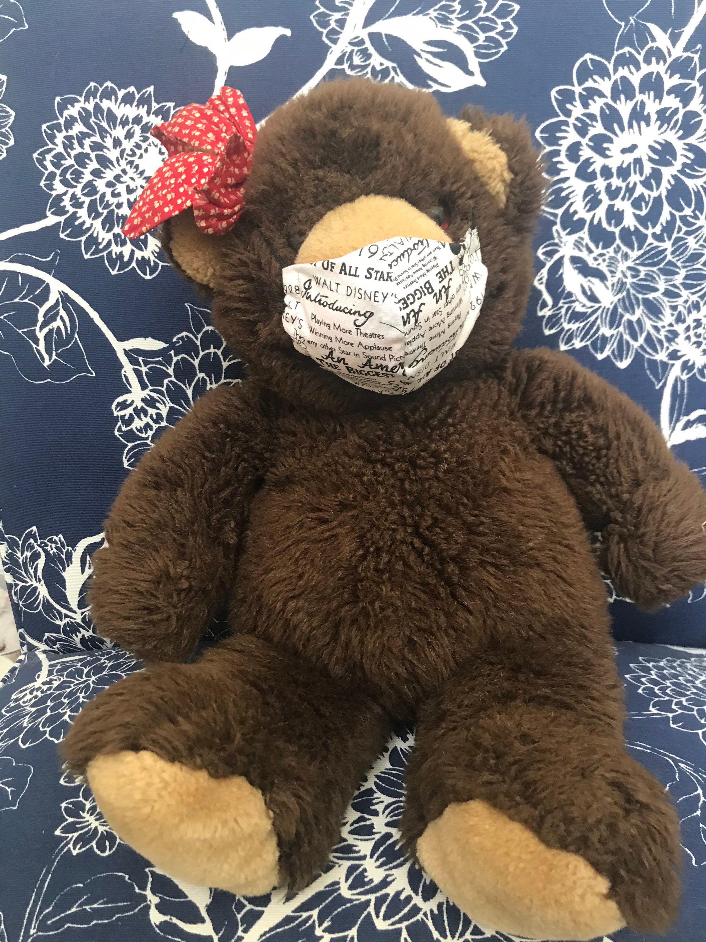 Teddy Bear Dust Masks Etsy