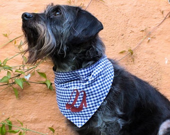 That Dog Shop Reversible Dog Bandana Blue Gingham Glitter Dorothy Ruby Slippers - Unique Dog Bandanas