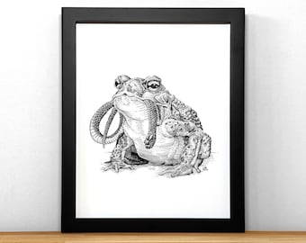 Hungry Toad eating Snake, print of black & white ink illustration