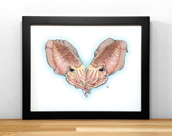 Cuddlefish, print of ink & watercolor illustration