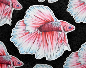 May include: A sticker featuring a pink and white betta fish with flowing fins. The fish is depicted in a realistic style with detailed scales and fins.