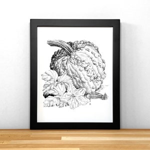 Knucklehead Pumpkin, print of black & white ink illustration