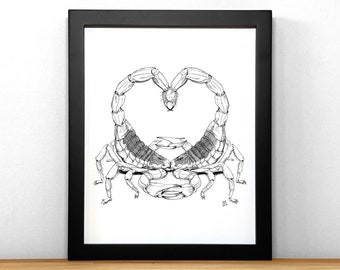 Scorpion Love, print of black & white ink illustration