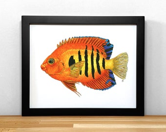 Tropical fish print of original watercolor painting