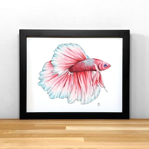 Betta fish print of original watercolor painting