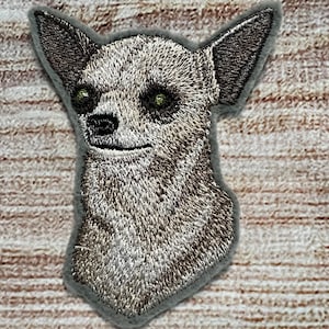 Könnte beinhalten: Gestickter Aufnäher eines Chihuahuas mit grau-weißem Fell. Der Hund hat einen ernsten Gesichtsausdruck mit grünen Augen.