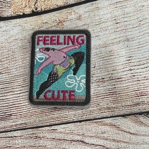 Feeling Cute Patch, Attitude Badge, Embroidered decoration, iron-on patch, sew on patch, embellishment for clothes, bag embellishment