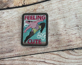 Feeling Cute Patch, Attitude Badge, Embroidered decoration, iron-on patch, sew on patch, embellishment for clothes, bag embellishment