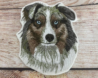 Border Collie - Hunderasse Mit Bild, Info, Temperament