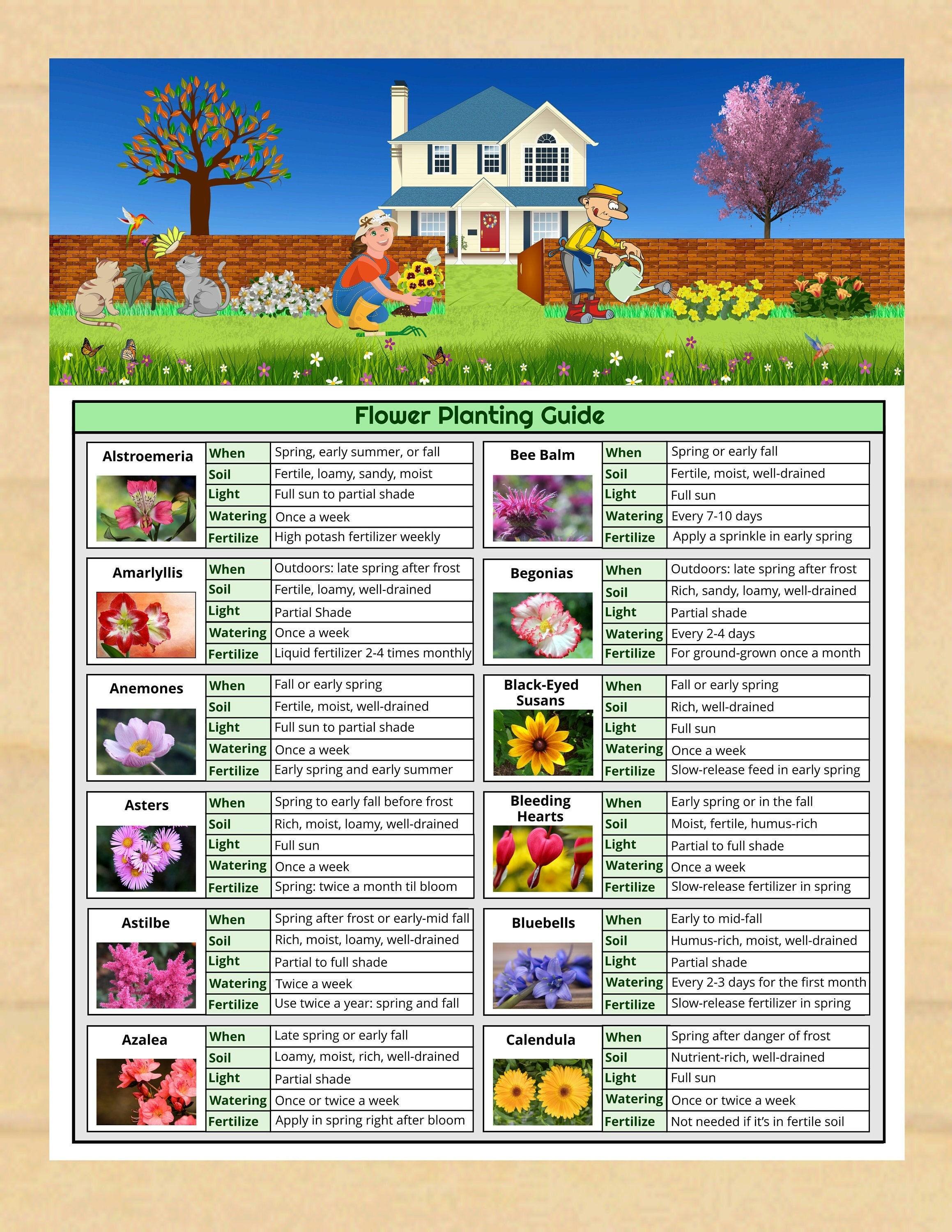 Garden Planting Guide.pdf Printable Flower Planting Guide - 84 Flower Photos - Bloom & Care ...