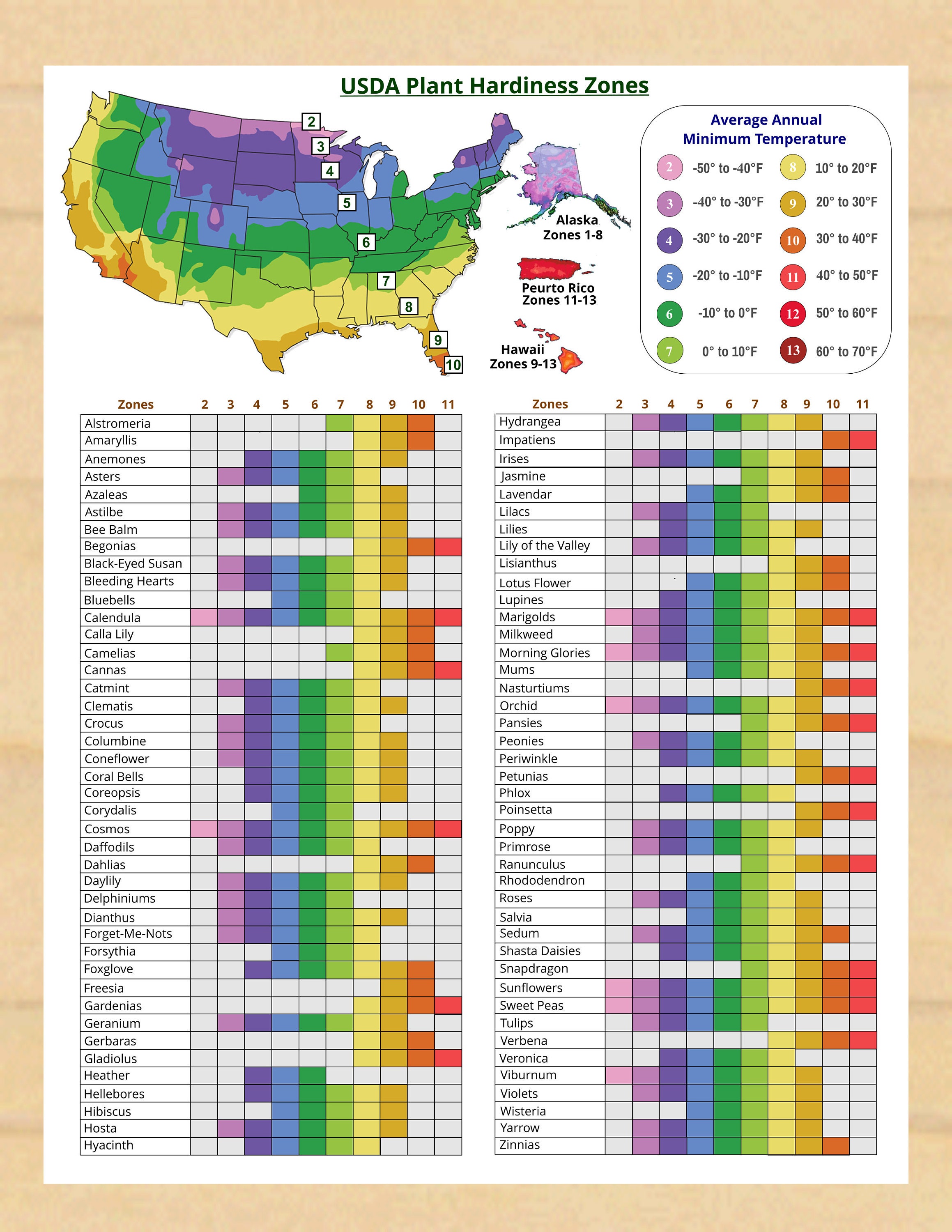 Texas To Australia: The Ultimate Time Zone Guide - cqlzzlr