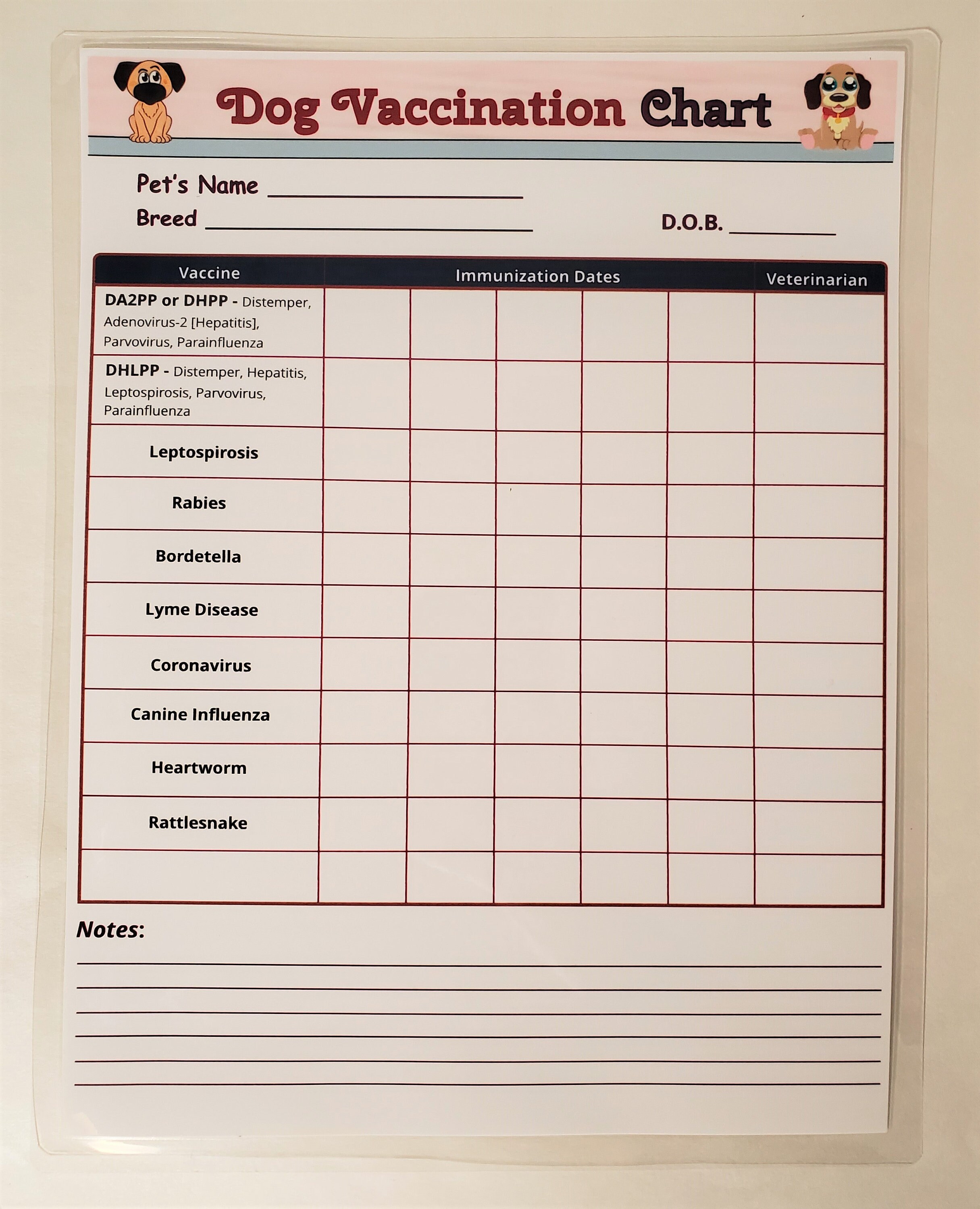Dog Vaccination Schedule Pdf India Ubicaciondepersonas cdmx gob mx