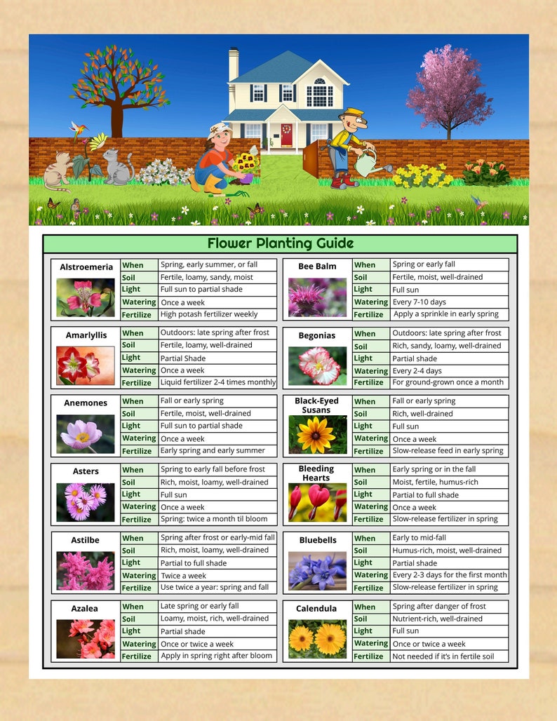 Printable Flower Planting Guide 84 Beautiful Flower Photos Easytoread