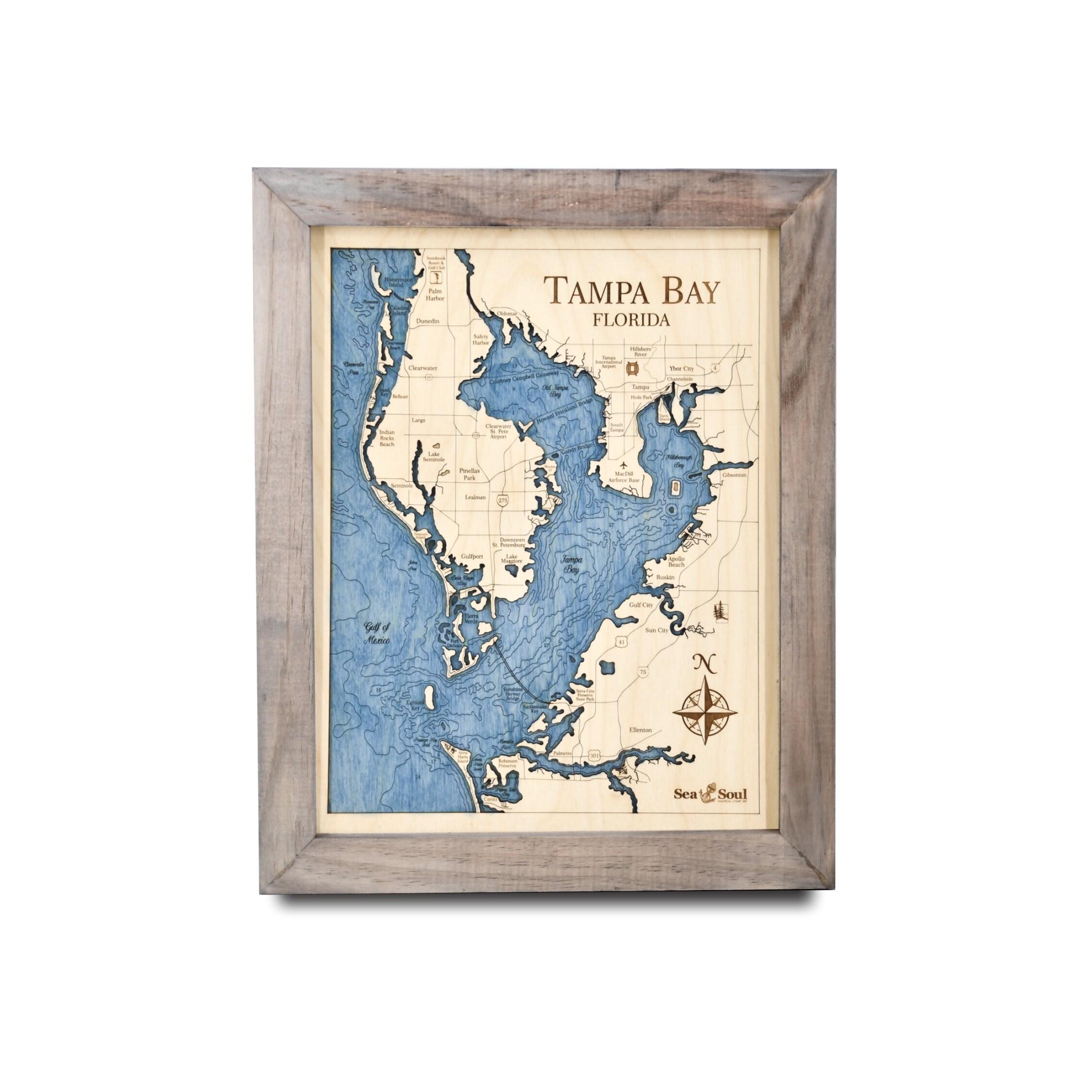 St. Petersburg, Florida Climate Change Risks and Hazards: Heat,  Precipitation / ClimateCheck, image size:2250x2250