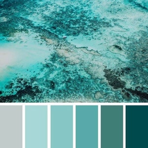 May include: A color palette inspired by an aerial view of a turquoise ocean with a sandy beach and coral reefs. The palette includes shades of gray, light blue, teal, and dark green.