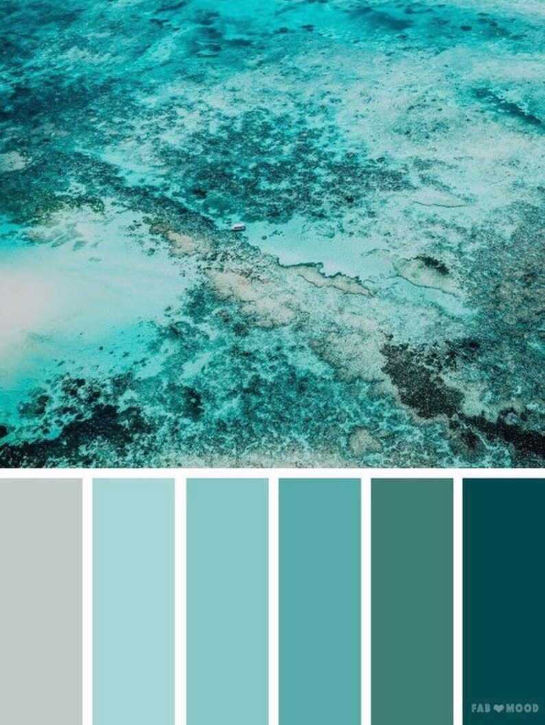 May include: A color palette inspired by an aerial view of a turquoise ocean with a sandy beach and coral reefs. The palette includes shades of gray, light blue, teal, and dark green.
