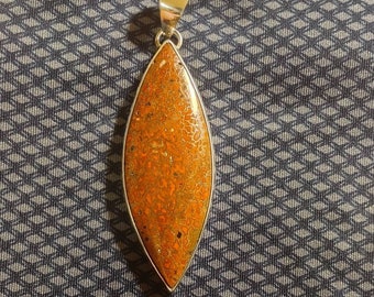 Dinosaur Bone Set in .925 Silver Pendant