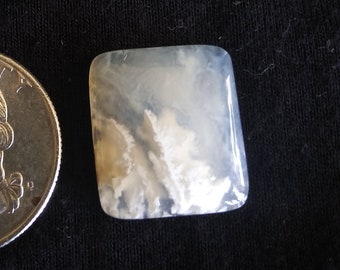May include: A white and gray agate stone cabochon, approximately the size of a US quarter.