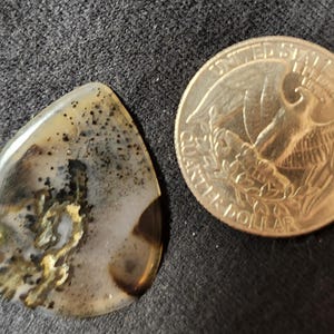Montana Dendritic Agate Guitar Pick