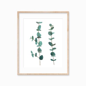 Eucalyptus Watercolor Print, Wall Art, Digital Download