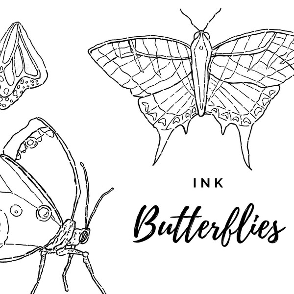 Insect Wing Clip Art - Etsy