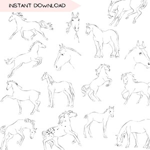 Paquete de imágenes prediseñadas de caballos, imágenes prediseñadas en blanco y negro de vaqueras occidentales, diseños ecuestres simples, gráficos de ilustraciones del suroeste