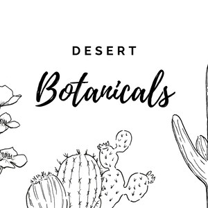 Pacote de clipart botânico do deserto, clipart de cacto, arte de linha suculenta, ilustração de paisagem do deserto desenhada à mão, contorno PNG transparente