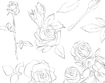 Rose Clipart PNG Bundle, Hand Drawn Floral Line Art, Flower Sketches Digital Download, Transparent PNGs for Invitations, Marketing, & Crafts
