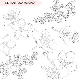 Cherry Blossom Floral Botanical Clipart Bundle, Flower Clip Art Line Art, Hand Drawn Tree Illustration, Black Outline Transparent PNG